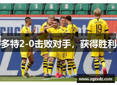 多特2-0击败对手，获得胜利